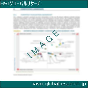 グローバルリサーチ調査レポートのイメージ